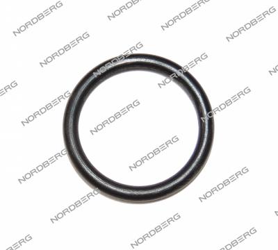 Кольцо 5006447 20х2,65 для 46TRK NORDBERG 5006447 (GB3452·1-20?2·65-G) Кольцо 5006447 20х2,65 для 46TRK NORDBERG 5006447 (GB3452·1-20?2·65-G)